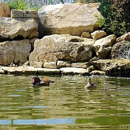 Les Mandarins Baladou