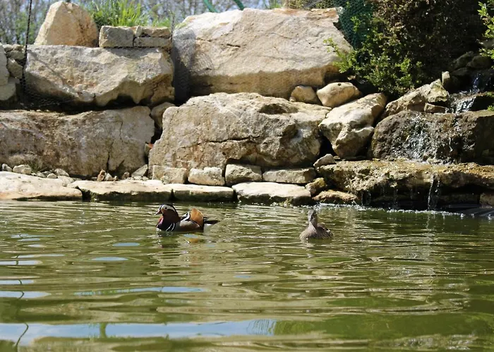 ベッド・アンド・ブレックファスト Les Mandarins